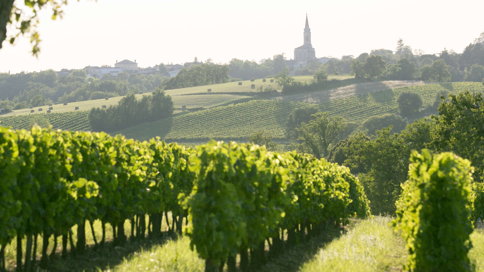 The 6 wine regions of Bordeaux | Bordeaux Tourism & Conventions
